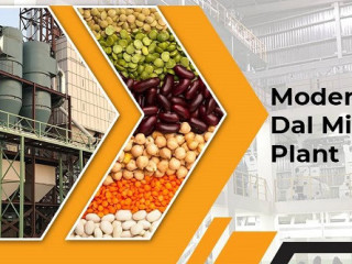 How to Establish a Dal Mill Plant to Expand Your Grocery Business?