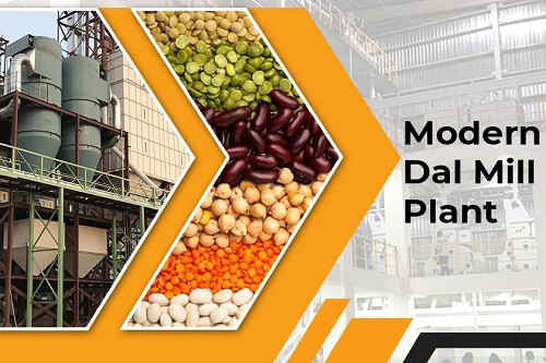 how-to-establish-a-dal-mill-plant-to-expand-your-grocery-business-big-0