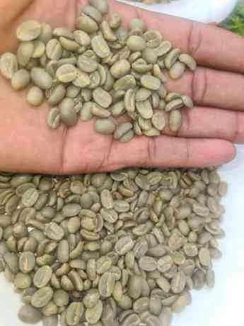 coffee-beans-arabica-coffee-27719755564-big-1