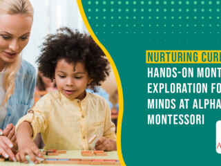 nurturing-curiosity-hands-on-montessori-exploration-for-young-minds-at-alphabetz-montessori