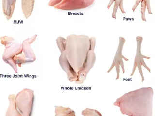 wholesale-frozen-chicken-bovine-beef-wholesale