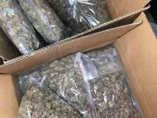 buy-marijuana-weed-weed-seeds-mushroom-shrooms-online