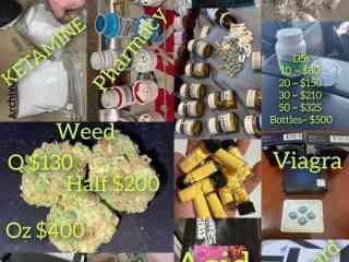 buy-marijuna-weed-seedsshrooms-online-whsap237-672564181