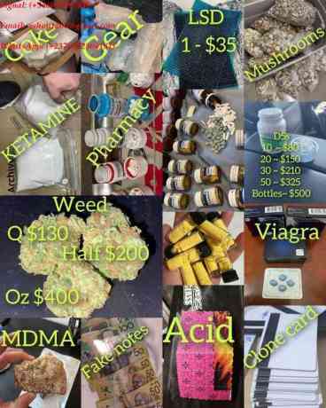 buy-marijuna-weed-seedsshrooms-online-whsap237-672564181-big-0